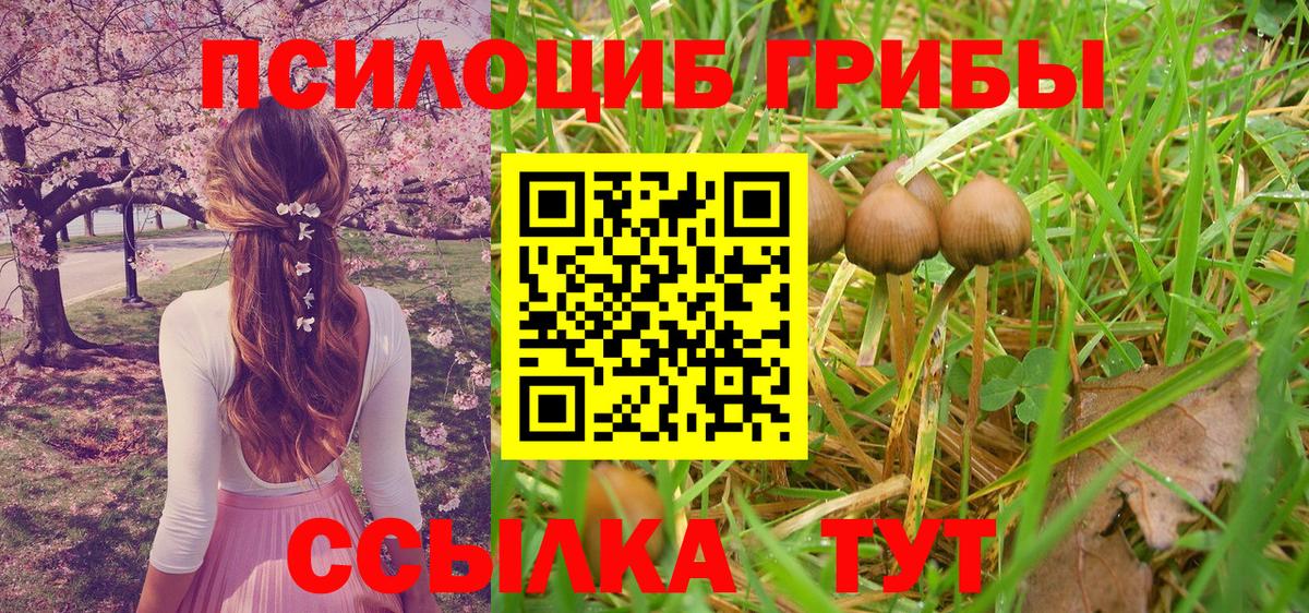 Кувандык  Псилоцибиновые грибы Psilocybe  Галлюциногенные грибы ЛСД  Вход с VPN 