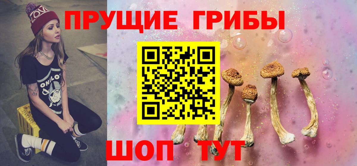 Галлюциногенные грибы GOLDEN TEACHER Кувандык